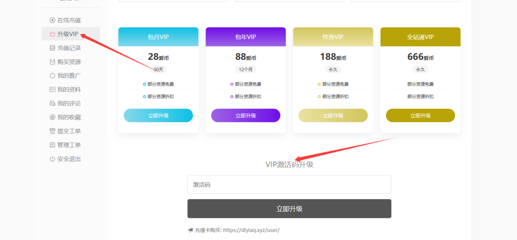 开通VIP详细教程插图